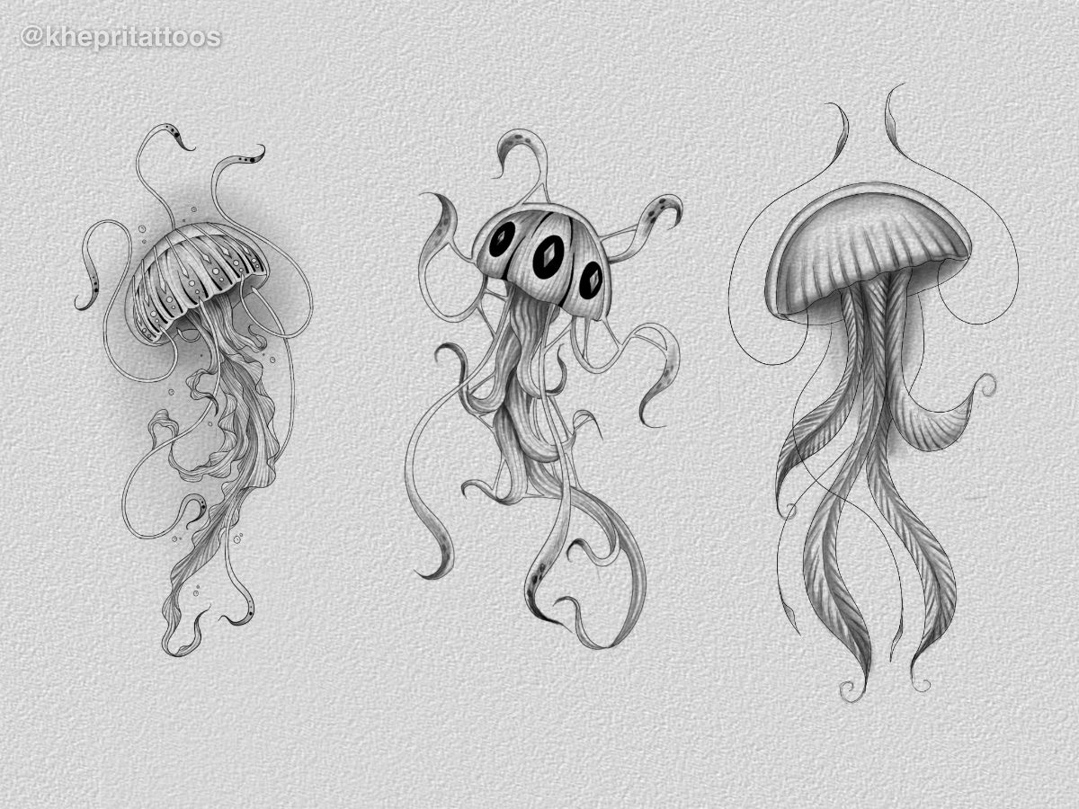 Medusas fineline