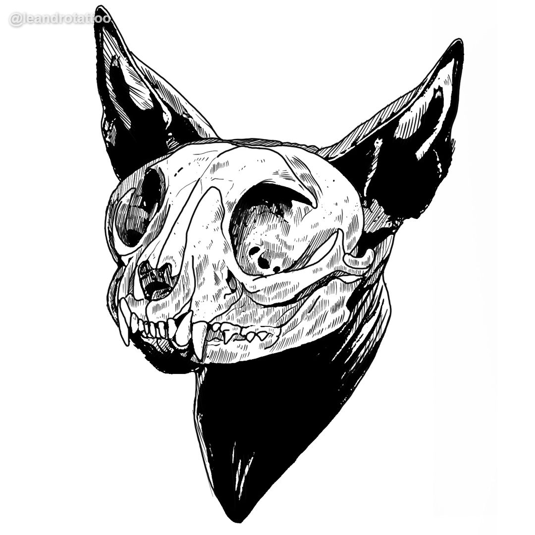 gato huesos